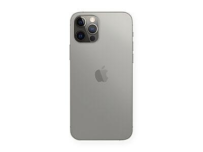 Lofoten Deksel iPhone 12 Pro Max